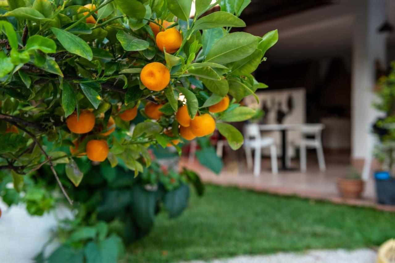 פלרמו Villa Megna - Green Paradise B&B מראה חיצוני תמונה