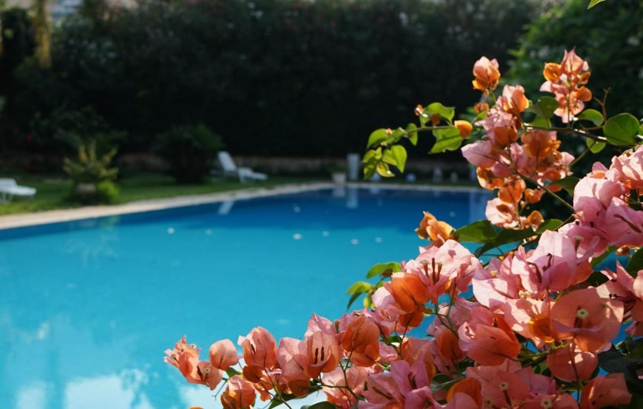 פלרמו Villa Megna - Green Paradise B&B מראה חיצוני תמונה